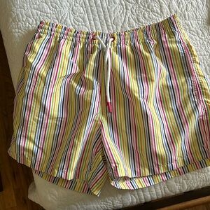 Men’s Zara large striped swim/shorts-